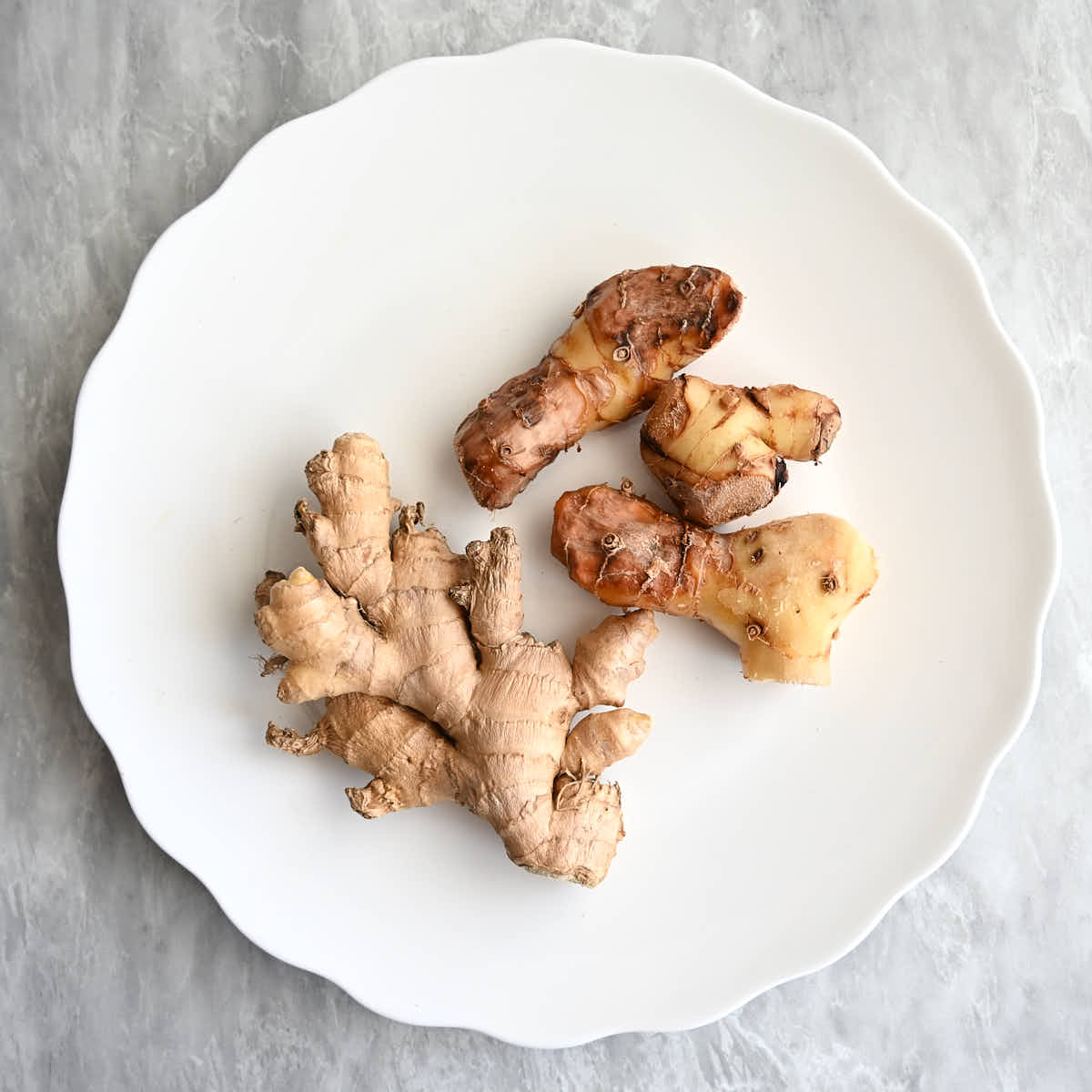 Galangal and ginger root side by side on a white plate.